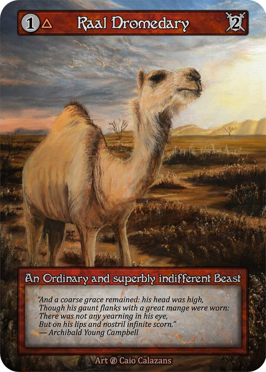 Raal Dromedary - Beta