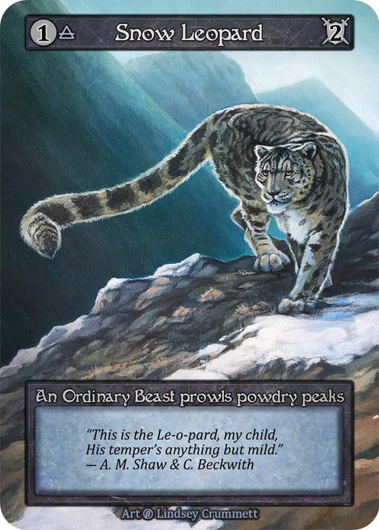 Snow Leopard - Beta